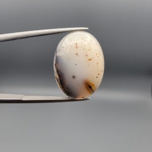 A museum-grade 15.54-carat Iranian Shajari Dudhiya Aqeeq with exceptional black and brown dendritic tree patterns visible on both the front and back of a translucent oval cabochon.