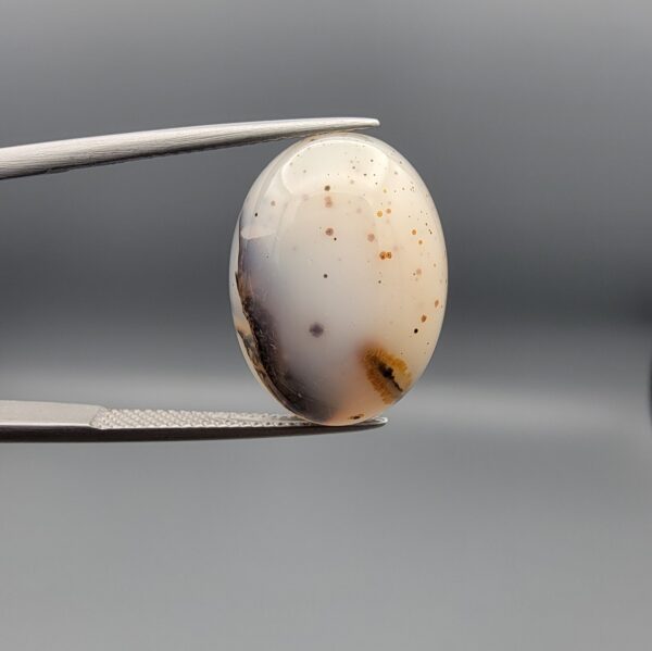 A museum-grade 15.54-carat Iranian Shajari Dudhiya Aqeeq with exceptional black and brown dendritic tree patterns visible on both the front and back of a translucent oval cabochon.