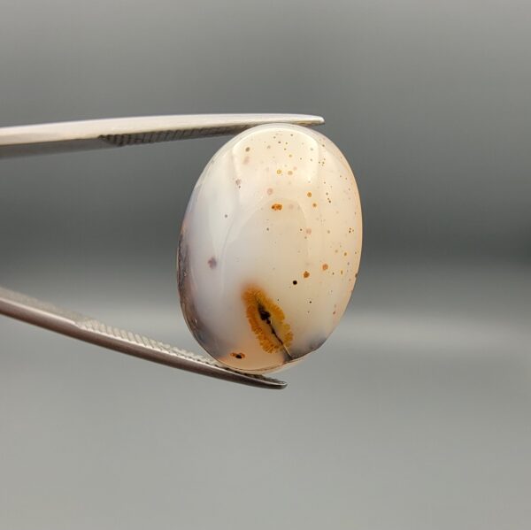 A museum-grade 15.54-carat Iranian Shajari Dudhiya Aqeeq with exceptional black and brown dendritic tree patterns visible on both the front and back of a translucent oval cabochon.