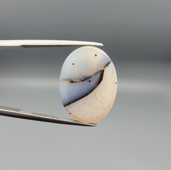 A museum-grade 15.54-carat Iranian Shajari Dudhiya Aqeeq with exceptional black and brown dendritic tree patterns visible on both the front and back of a translucent oval cabochon.