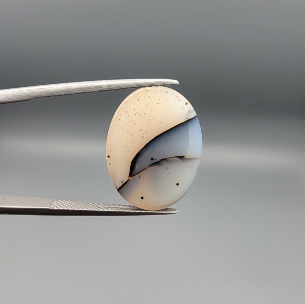 A museum-grade 15.54-carat Iranian Shajari Dudhiya Aqeeq with exceptional black and brown dendritic tree patterns visible on both the front and back of a translucent oval cabochon.