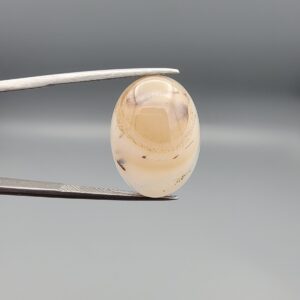 ​A 15.60-carat natural Iranian Shajari Dudhiya Aqeeq featuring a honey-yellow front and milky-white back with a sharp, single-layer black dendritic tree inclusion, held in jeweler's tweezers.