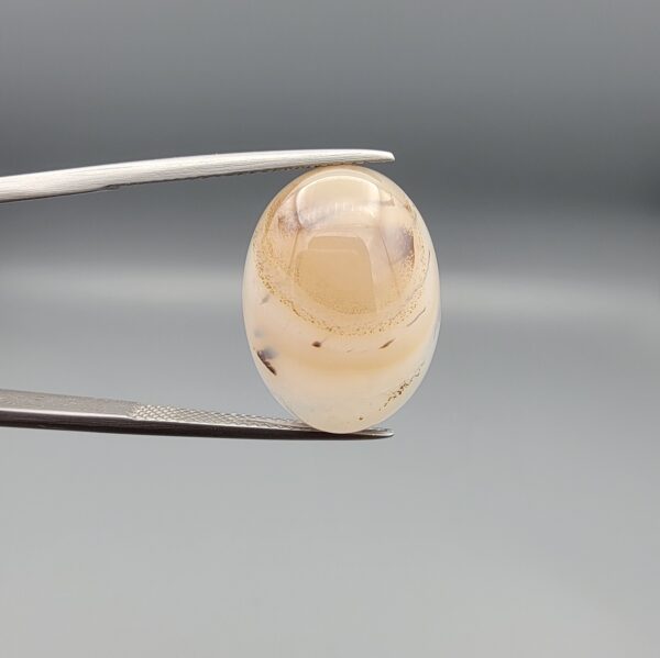 ​A 15.60-carat natural Iranian Shajari Dudhiya Aqeeq featuring a honey-yellow front and milky-white back with a sharp, single-layer black dendritic tree inclusion, held in jeweler's tweezers.