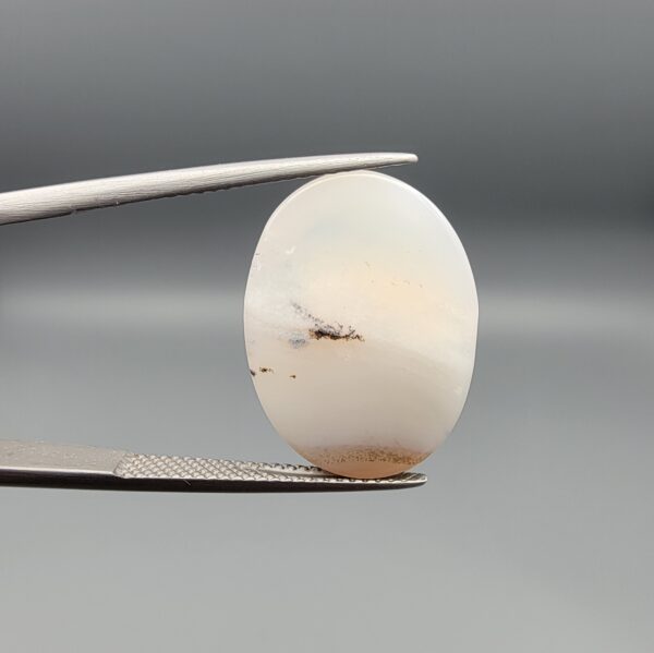 ​A 15.60-carat natural Iranian Shajari Dudhiya Aqeeq featuring a honey-yellow front and milky-white back with a sharp, single-layer black dendritic tree inclusion, held in jeweler's tweezers.