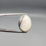 Natural Iranian Milky Dendritic Agate – 7.96 Carat – Shajari Dudhiya Aqeeq | Black Layered Front | Multi-Color Black & Brown Inclusions Back