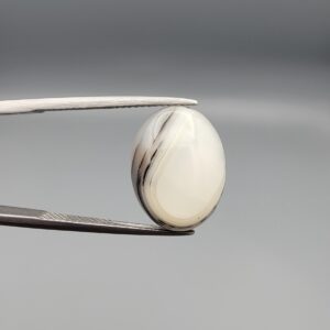 Natural Iranian Milky Dendritic Agate – 7.96 Carat – Shajari Dudhiya Aqeeq | Black Layered Front | Multi-Color Black & Brown Inclusions Back