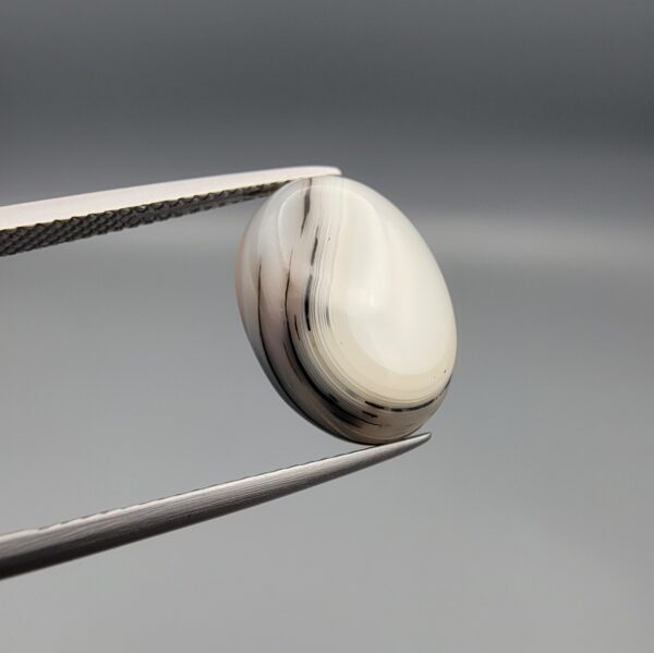 ​A 7.96-carat natural Iranian Shajari Dudhiya Aqeeq with an oval cabochon cut, featuring crisp black dendritic layers on the front and a mix of black and brown tree-like inclusions on the back.