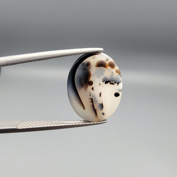 ​A 7.96-carat natural Iranian Shajari Dudhiya Aqeeq with an oval cabochon cut, featuring crisp black dendritic layers on the front and a mix of black and brown tree-like inclusions on the back.