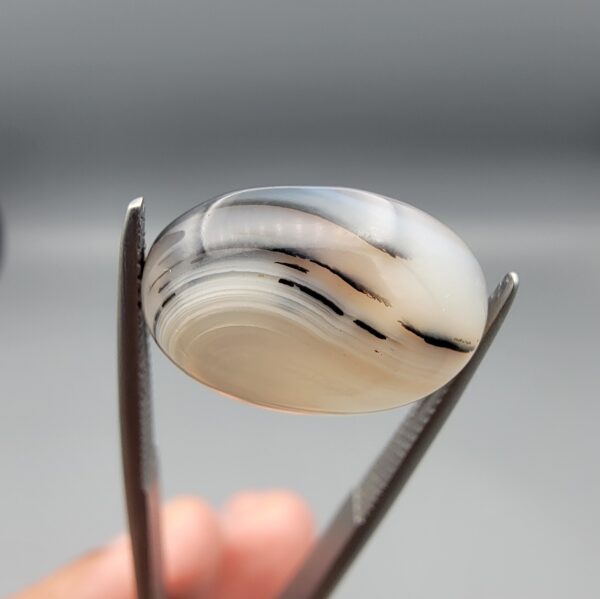 ​A 7.96-carat natural Iranian Shajari Dudhiya Aqeeq with an oval cabochon cut, featuring crisp black dendritic layers on the front and a mix of black and brown tree-like inclusions on the back.