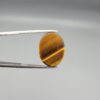 A 15.25-carat natural Golden Tiger's Eye oval cabochon with intense chatoyancy and rich honey-gold bands, held in jeweler's tweezers.
