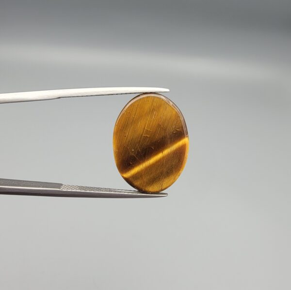 A 15.25-carat natural Golden Tiger's Eye oval cabochon with intense chatoyancy and rich honey-gold bands, held in jeweler's tweezers.