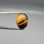 ​A 15.25-carat natural Golden Tiger's Eye oval cabochon with high-intensity chatoyancy and deep honey-brown banding, held in jeweler's tweezers.