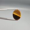 ​A 15.25-carat natural Golden Tiger's Eye oval cabochon with high-intensity chatoyancy and deep honey-brown banding, held in jeweler's tweezers.
