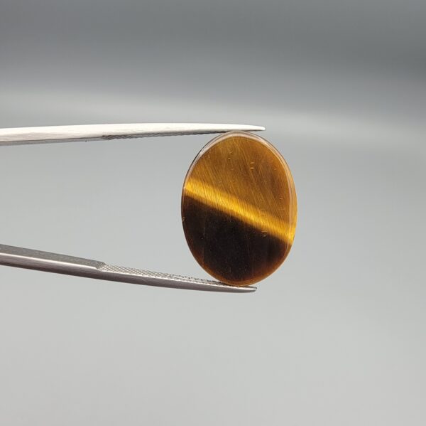 ​A 15.25-carat natural Golden Tiger's Eye oval cabochon with high-intensity chatoyancy and deep honey-brown banding, held in jeweler's tweezers.