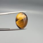 ​A 16.36-carat natural Golden Tiger's Eye oval cabochon with brilliant chatoyant bands and rich earthy tones, held in jeweler's tweezers.