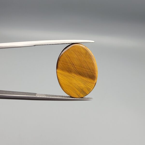 ​A 16.36-carat natural Golden Tiger's Eye oval cabochon with brilliant chatoyant bands and rich earthy tones, held in jeweler's tweezers.