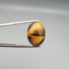 A premium 17.17-carat natural Golden Tiger's Eye oval cabochon with brilliant high-luster chatoyancy and deep chocolate-amber banding, held in jeweler's tweezers.
