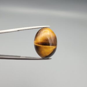 A premium 17.17-carat natural Golden Tiger's Eye oval cabochon with brilliant high-luster chatoyancy and deep chocolate-amber banding, held in jeweler's tweezers.