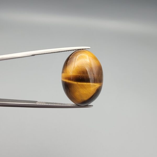 A premium 17.17-carat natural Golden Tiger's Eye oval cabochon with brilliant high-luster chatoyancy and deep chocolate-amber banding, held in jeweler's tweezers.