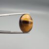 A 16.65-carat natural Golden Tiger's Eye oval cabochon featuring high-luster golden chatoyancy and rich chocolate-brown banding, held in jeweler's tweezers.