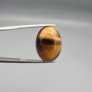 A 16.65-carat natural Golden Tiger's Eye oval cabochon featuring high-luster golden chatoyancy and rich chocolate-brown banding, held in jeweler's tweezers.