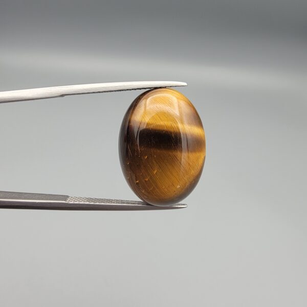 A 16.65-carat natural Golden Tiger's Eye oval cabochon featuring high-luster golden chatoyancy and rich chocolate-brown banding, held in jeweler's tweezers.