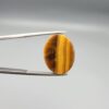 A massive 19.39-carat natural Golden Tiger's Eye oval cabochon with intense high-luster chatoyancy and deep amber-brown mineral bands, held in jeweler's tweezers.