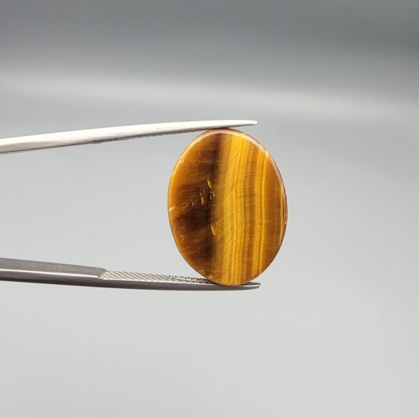 A massive 19.39-carat natural Golden Tiger's Eye oval cabochon with intense high-luster chatoyancy and deep amber-brown mineral bands, held in jeweler's tweezers.