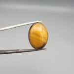 A 16.65-carat natural Golden Tiger's Eye oval cabochon with sharp chatoyancy on the front and a natural textured layer of mineral inclusions on the reverse, held in jeweler's tweezers.