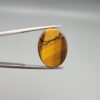 A 16.65-carat natural Golden Tiger's Eye oval cabochon with sharp chatoyancy on the front and a natural textured layer of mineral inclusions on the reverse, held in jeweler's tweezers.