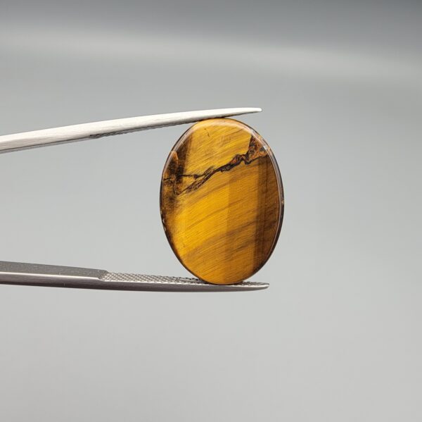 A 16.65-carat natural Golden Tiger's Eye oval cabochon with sharp chatoyancy on the front and a natural textured layer of mineral inclusions on the reverse, held in jeweler's tweezers.