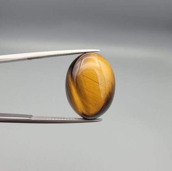 ​A 15.17-carat natural Golden Tiger's Eye oval cabochon with high-luster chatoyant bands and rich earthy brown tones, held in jeweler's tweezers.
