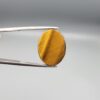 ​A 15.17-carat natural Golden Tiger's Eye oval cabochon with high-luster chatoyant bands and rich earthy brown tones, held in jeweler's tweezers.