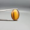 A 16.11-carat natural Golden Tiger's Eye oval cabochon with high-luster chatoyant bands and rich earthy brown tones, held in jeweler's tweezers.