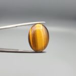 A 16.11-carat natural Golden Tiger's Eye oval cabochon with high-luster chatoyant bands and rich earthy brown tones, held in jeweler's tweezers.