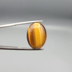 A 16.11-carat natural Golden Tiger's Eye oval cabochon with high-luster chatoyant bands and rich earthy brown tones, held in jeweler's tweezers.