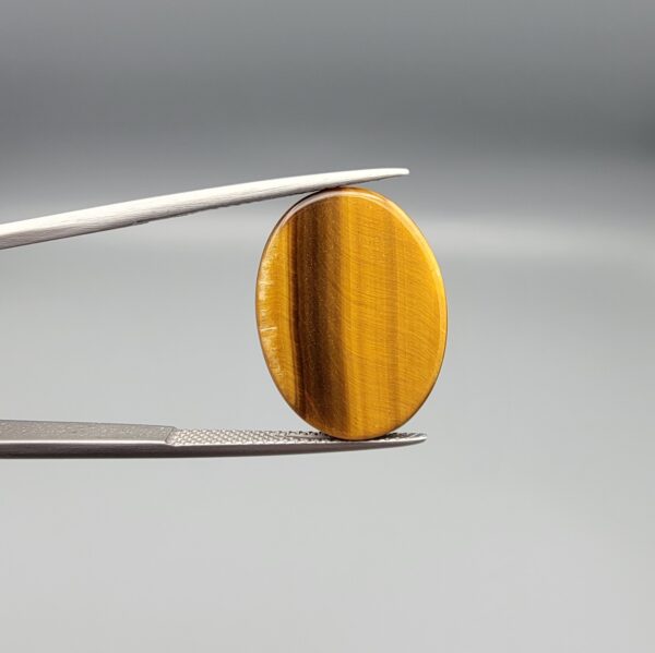 A 16.11-carat natural Golden Tiger's Eye oval cabochon with high-luster chatoyant bands and rich earthy brown tones, held in jeweler's tweezers.
