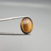 A 17.28-carat natural Golden Tiger's Eye oval cabochon with brilliant chatoyant bands and rich earthy tones, held in jeweler's tweezers.