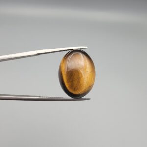 A 17.28-carat natural Golden Tiger's Eye oval cabochon with brilliant chatoyant bands and rich earthy tones, held in jeweler's tweezers.