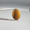 A 17.28-carat natural Golden Tiger's Eye oval cabochon with brilliant chatoyant bands and rich earthy tones, held in jeweler's tweezers.