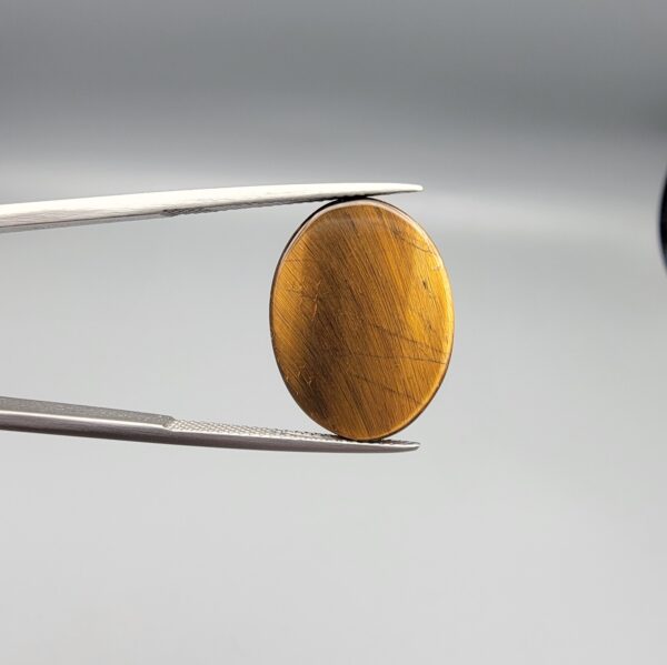 A 17.28-carat natural Golden Tiger's Eye oval cabochon with brilliant chatoyant bands and rich earthy tones, held in jeweler's tweezers.