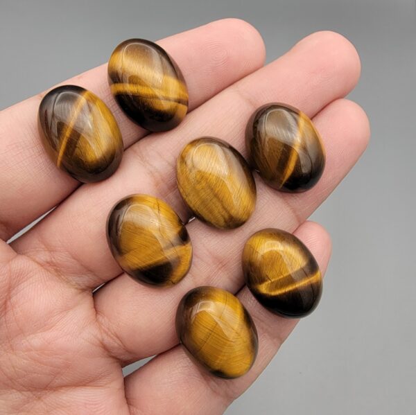 A set of seven natural Golden Tiger's Eye oval cabochons, showing high-luster golden chatoyancy and rich brown banding, arranged together.