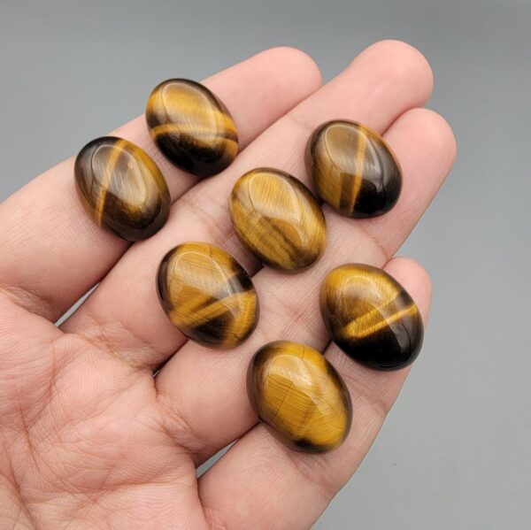 A set of seven natural Golden Tiger's Eye oval cabochons, showing high-luster golden chatoyancy and rich brown banding, arranged together.