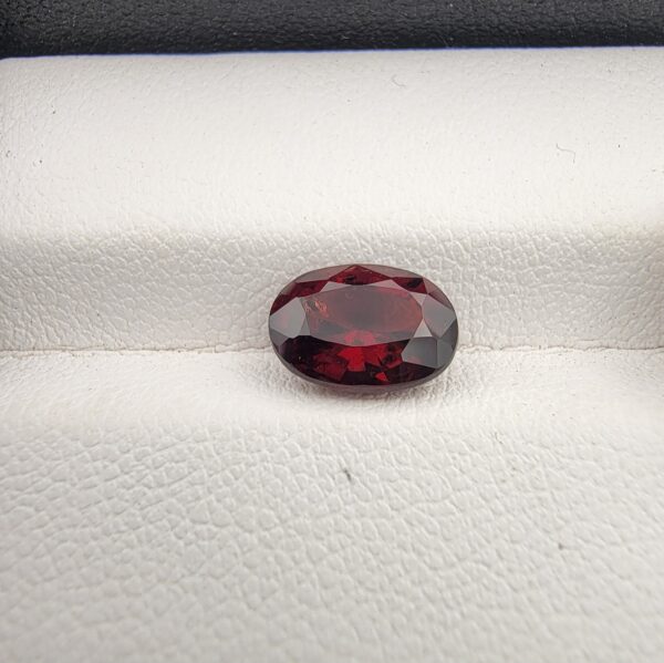 A 2.69-carat natural oval-cut Madagascar Garnet featuring a saturated deep red color and natural internal inclusions, displayed in a clear jeweler's case.