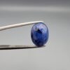 ​A massive 7.54-carat natural Ceylon blue sapphire with a deep royal blue color and oval faceted cut, shown in a professional jeweler's display box.