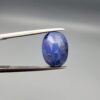 ​A massive 7.54-carat natural Ceylon blue sapphire with a deep royal blue color and oval faceted cut, shown in a professional jeweler's display box.
