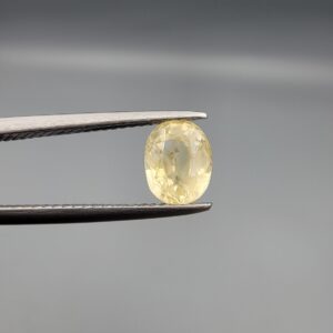 A rare 1.59-carat unheated natural yellow sapphire (Pukhraj) from Ceylon, Sri Lanka, featuring a masterfully faceted oval cut and bright lemon-yellow saturation, shown in professional jeweler's tweezers.