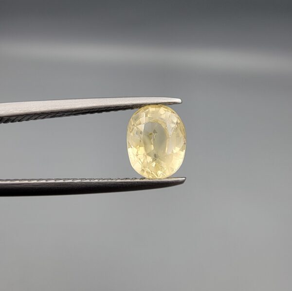 A rare 1.59-carat unheated natural yellow sapphire (Pukhraj) from Ceylon, Sri Lanka, featuring a masterfully faceted oval cut and bright lemon-yellow saturation, shown in professional jeweler's tweezers.
