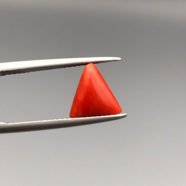 A 2.20-carat natural Italian red coral in a polished triangle cabochon shape, showcasing a smooth surface and rich orange-red tone in a jeweler's display.