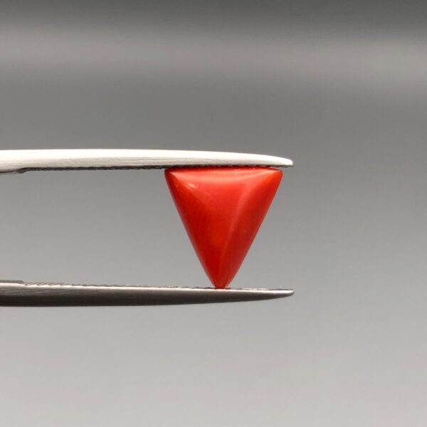 A 2.20-carat natural Italian red coral in a polished triangle cabochon shape, showcasing a smooth surface and rich orange-red tone in a jeweler's display.